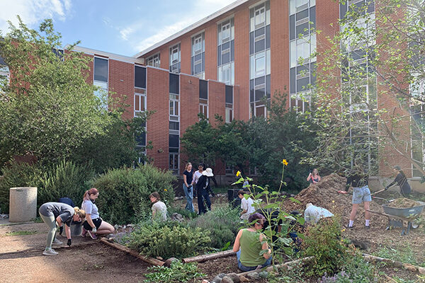Collaborators create a shared future at the Shand Garden