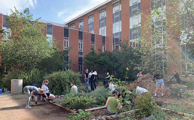 Collaborators create a shared future at the Shand Garden