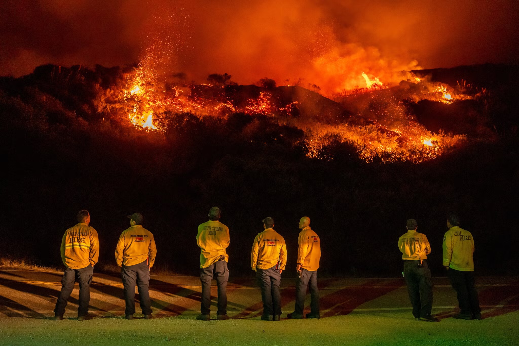 Fewer buyers for timber on federal land raise risk of wildfires