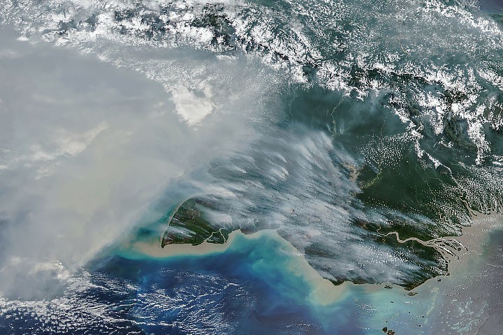 Fires char New Guinea