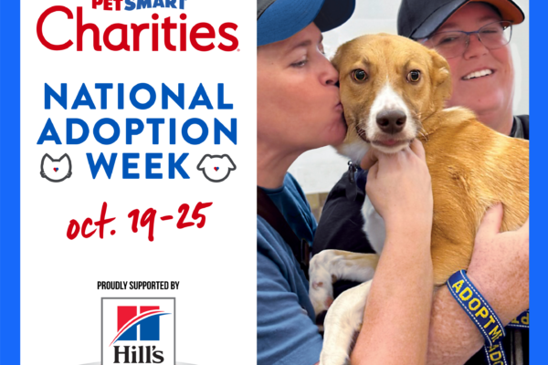 MCACC invites community members to adopt pets in need during PetSmart Charities event