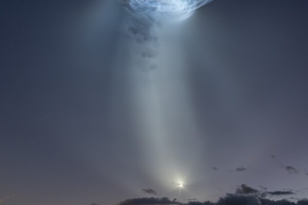 NASA launches SpaceX CRS 35 mission with jellyfish cargo