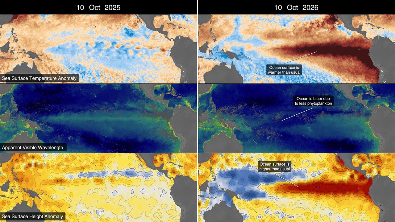 NASA satellites observe historic El Niño event