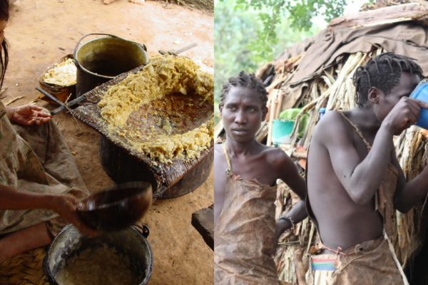 Researchers trace ancient human migration through gut microbes across continents
